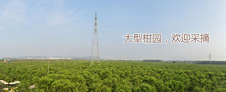 kaiyun平台手机网页